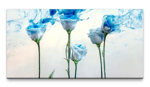 Bilder XXL weiße Rosen mit Rauchschwaden 50x100cm Wandbild auf Leinwand