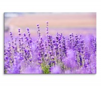 120x80cm Wandbild Lavendel Blumen