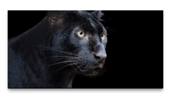 Bilder XXL Panther 50x100cm Wandbild auf Leinwand