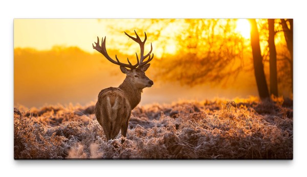 Bilder XXL Hirsch 50x100cm Wandbild auf Leinwand