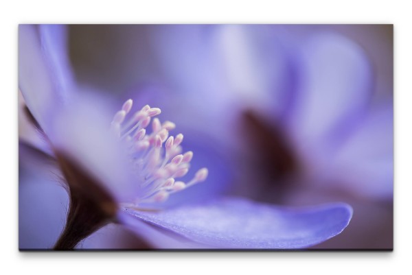 Bilder XXL blaue Blüte Makro Wandbild auf Leinwand