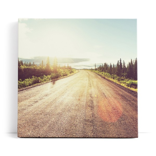 Straße Sonnenschein Berge Tannenbäume Natur Alaska