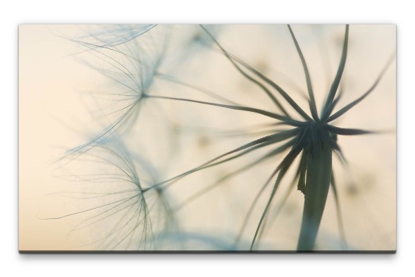 Bilder XXL Filigrane Blüte Makro Wandbild auf Leinwand