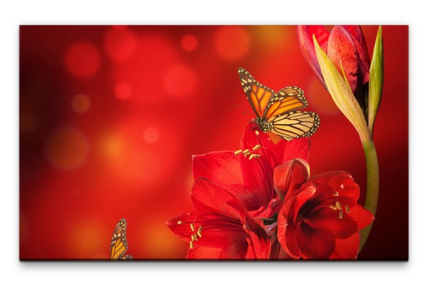 Bilder XXL Amaryllis mit Schmetterling in rot Wandbild auf Leinwand