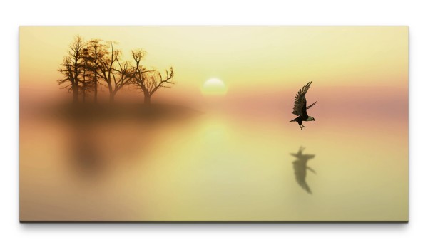 Bilder XXL Vogel im Landeanflug 50x100cm Wandbild auf Leinwand