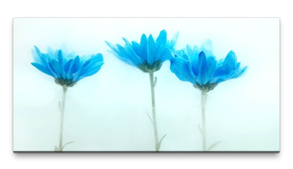 Bilder XXL Zarte blaue Blumen 50x100cm Wandbild auf Leinwand