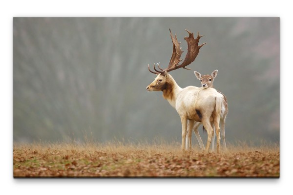 Bilder XXL Rehe in Landschaft Wandbild auf Leinwand