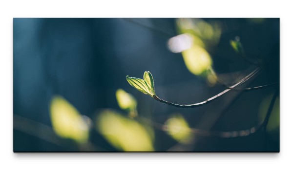 Bilder XXL Frühlingserwachen 50x100cm Wandbild auf Leinwand