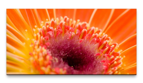 Bilder XXL Blüte orange Makro 50x100cm Wandbild auf Leinwand