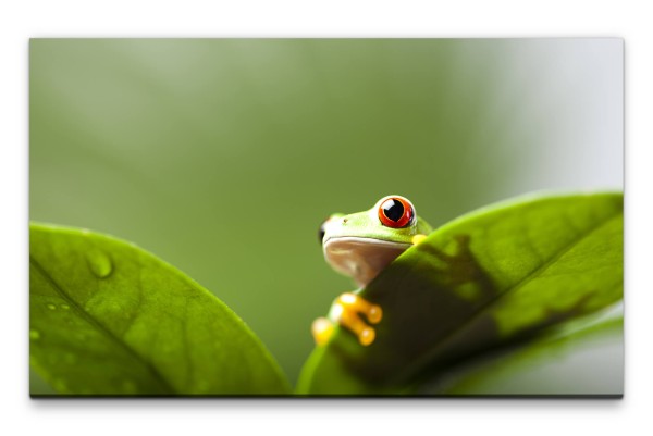 Bilder XXL Frosch grün mit Blättern Wandbild auf Leinwand