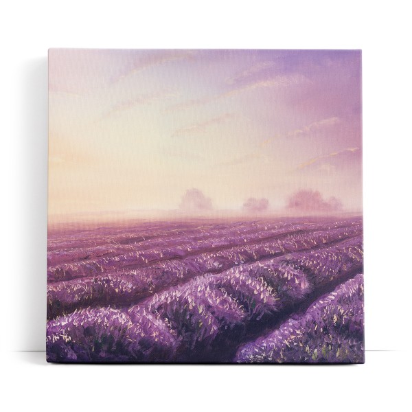 Lavendel Blumen Violett Lavendelfeld Abstrakt Kunstvoll