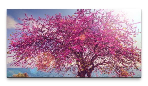 Bilder XXL Pinker Baum 50x100cm Wandbild auf Leinwand