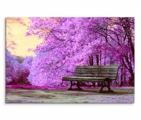 120x80cm Wandbild Park Bäume Blüten Bank