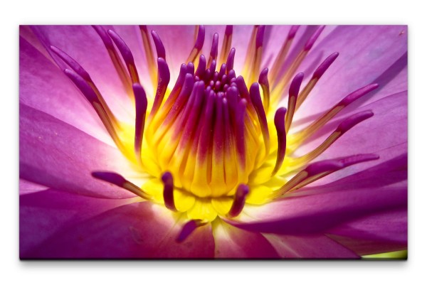 Bilder XXL Lotusblume Makro Wandbild auf Leinwand