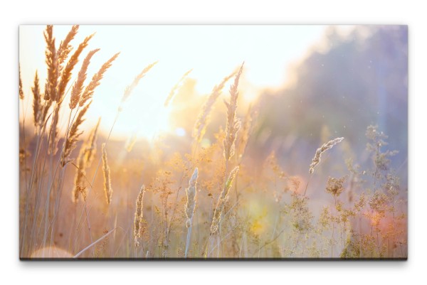 Bilder XXL Frühling Wandbild auf Leinwand