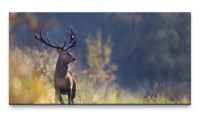 Bilder XXL Hirsch 50x100cm Wandbild auf Leinwand