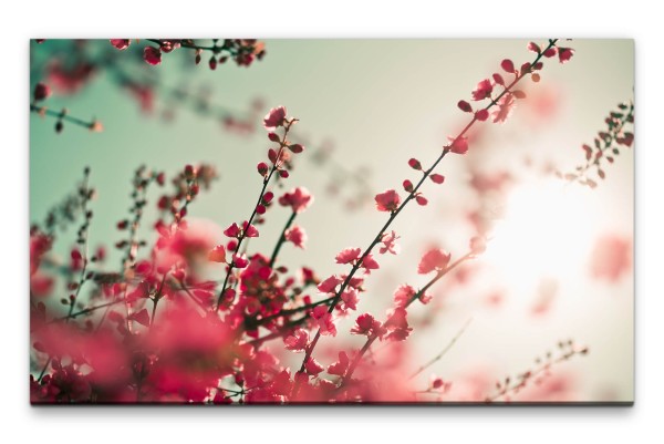 Bilder XXL Kirschblüten pink Wandbild auf Leinwand