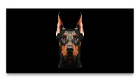 Bilder XXL Dobermann 50x100cm Wandbild auf Leinwand