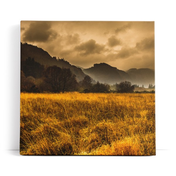 Landschaftsbild Natur Feld Berge dunkler Himmel