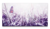 Bilder XXL Schmetterling im Gras 50x100cm Wandbild auf Leinwand