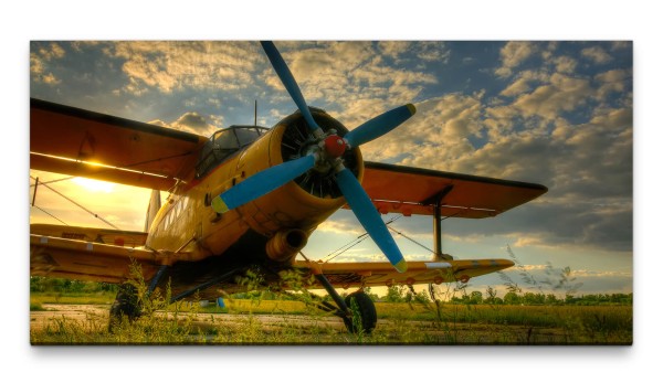 Bilder XXL altes Propellerflugzeug 50x100cm Wandbild auf Leinwand