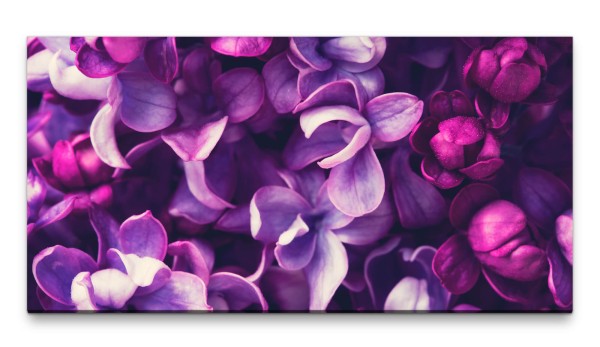 Bilder XXL Blüten in lila und Pink 50x100cm Wandbild auf Leinwand