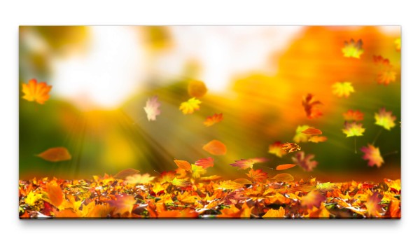 Bilder XXL Fallende Herbstblätter 50x100cm Wandbild auf Leinwand