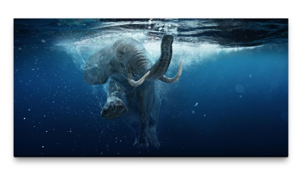 Bilder XXL Schwimmender Afrikanischer Elefant 50x100cm Wandbild auf Leinwand