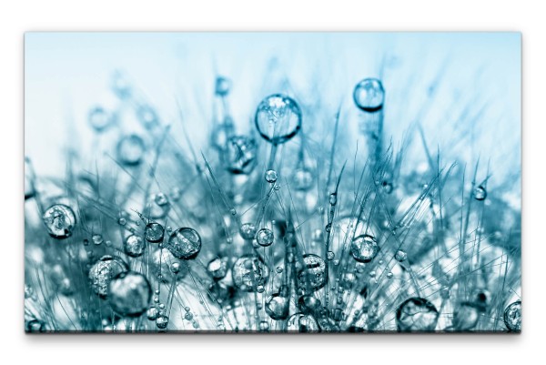 Bilder XXL Wassertropfen auf Gras Wandbild auf Leinwand