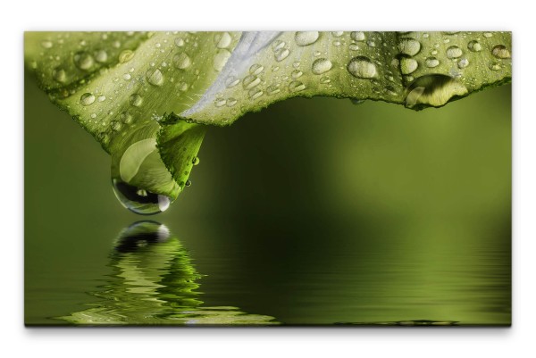 Bilder XXL Blatt über Wasser Wandbild auf Leinwand