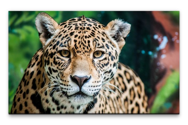 Bilder XXL Jaguar Wandbild auf Leinwand