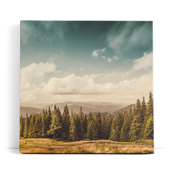 Natur Berge Landschaft Tannenwald Bäume weiße Wolken