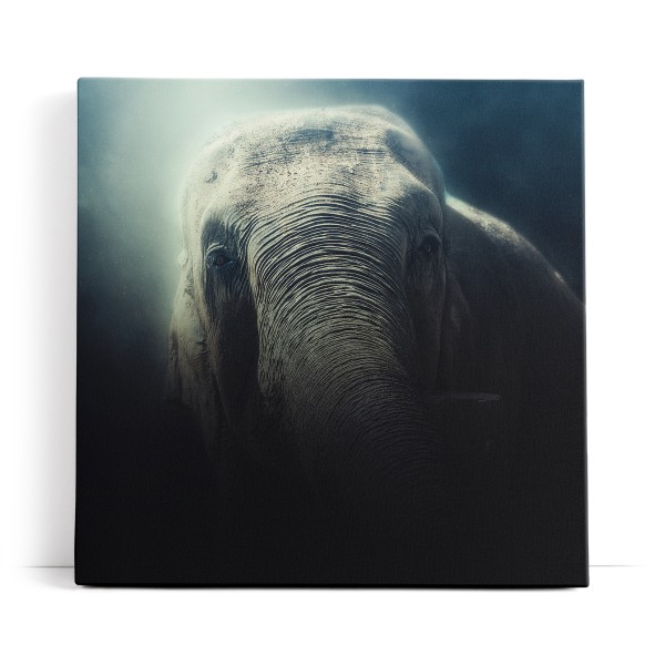 Elefant Tierfotografie Dunkel Fotokunst Kunstvoll