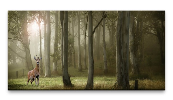 Bilder XXL Rehbock im Wald 50x100cm Wandbild auf Leinwand