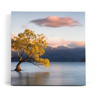 Baum im Wasser See Berge Natur Vögel