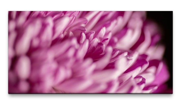 Bilder XXL Pinke Blüte Makro 50x100cm Wandbild auf Leinwand