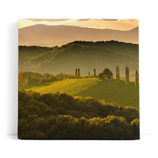 Toskanische Landschaft Italien Hügel Sonnenuntergang