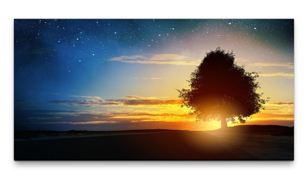 Bilder XXL Baum mit Sternenhimmel 50x100cm Wandbild auf Leinwand