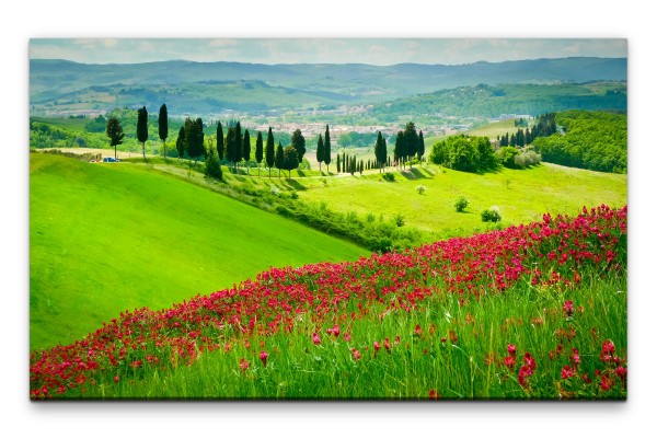 Bilder XXL Rote Blumen der Toskana Wandbild auf Leinwand