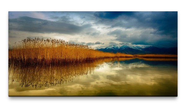 Bilder XXL Ufer am See 50x100cm Wandbild auf Leinwand