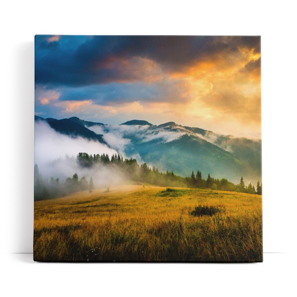 Alpen Nebel Berge Wolken Landschaft Wiese