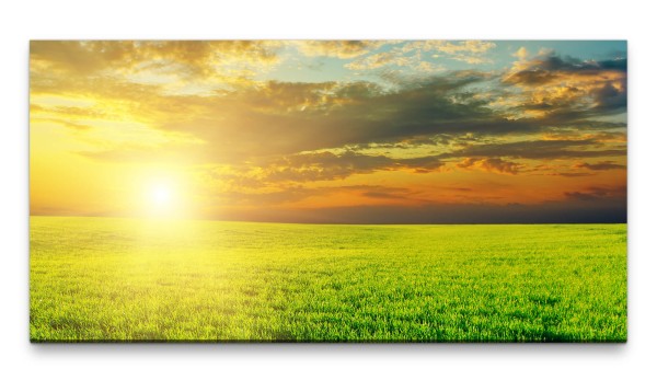 Bilder XXL Grüne Wiese im Sonnenuntergang 50x100cm Wandbild auf Leinwand