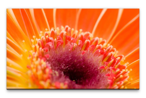 Bilder XXL Blüte orange Makro Wandbild auf Leinwand