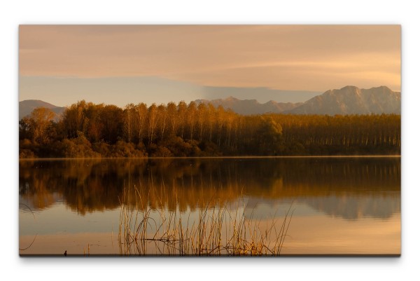 Bilder XXL Wasserspiegelung mit Bäumen Wandbild auf Leinwand