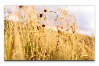 Bilder XXL Grasshalme Wandbild auf Leinwand