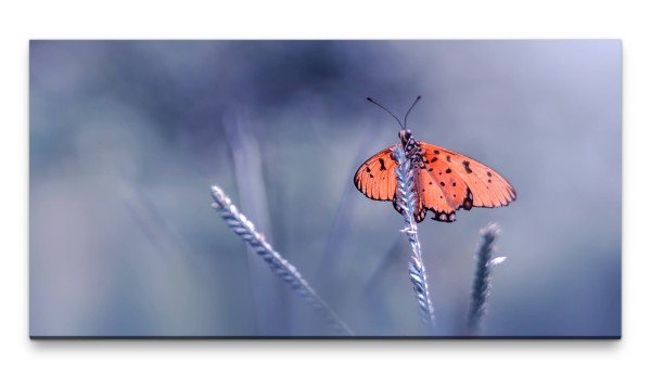 Bilder XXL Schmetterling auf Stängel 50x100cm Wandbild auf Leinwand