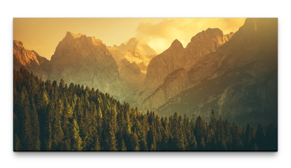 Bilder XXL Wald mit Bergen 50x100cm Wandbild auf Leinwand