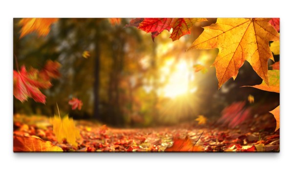 Bilder XXL Herbstblattwirbel 50x100cm Wandbild auf Leinwand