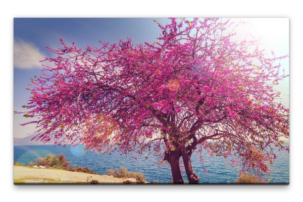 Bilder XXL Pinker Baum Wandbild auf Leinwand