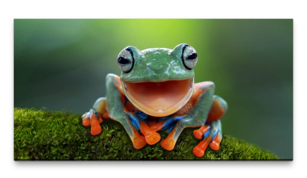 Bilder XXL Lachender Frosch 50x100cm Wandbild auf Leinwand